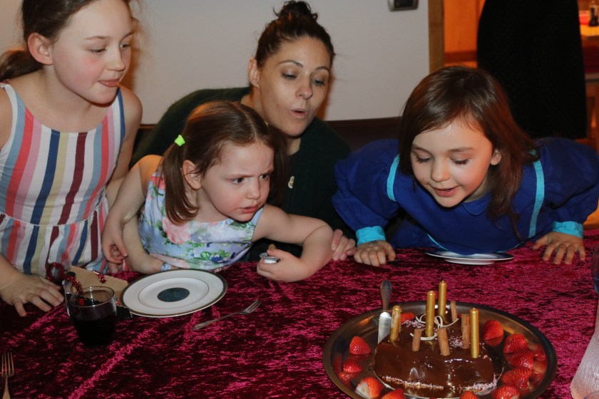 Afmæli Steinunnar.JPG