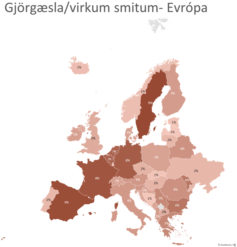 Gjörgæsla af virkum