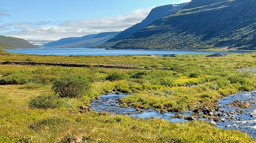 Í Hestfjarðarbotni